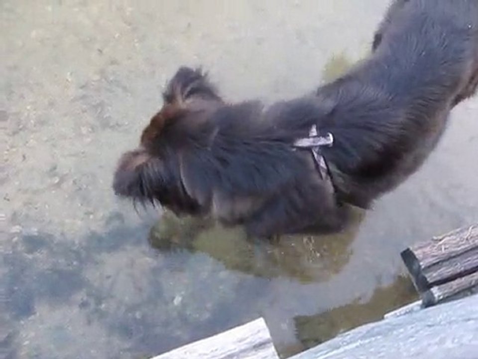 video01