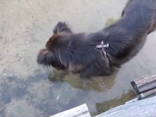 video01