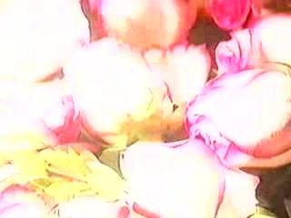 2003 Hallmark Mother's Day Cast Opening