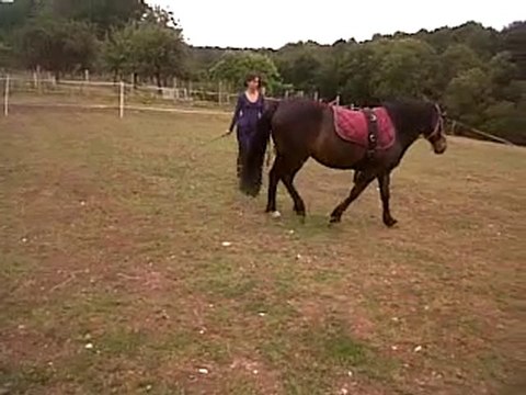 VID 00026-20100703-1441.3GP