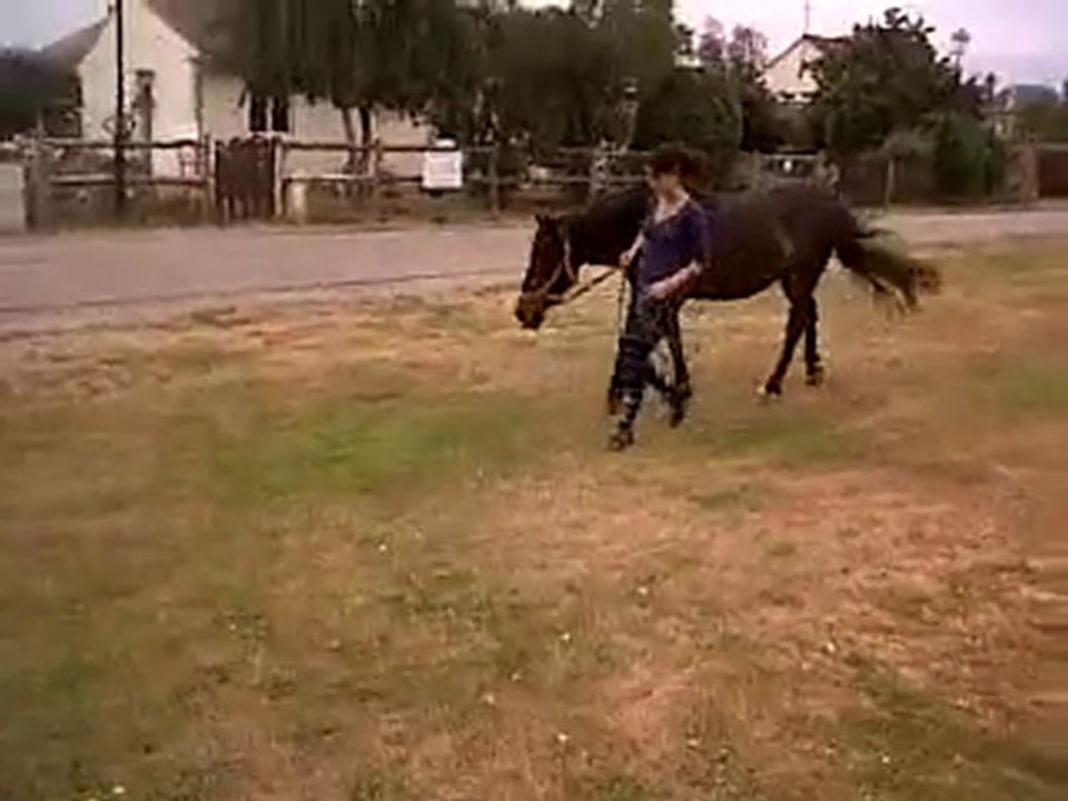 VID 00030-20100703-1518.3GP