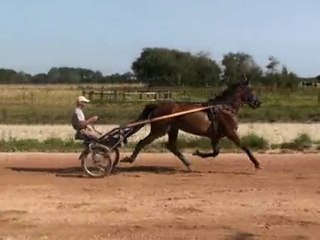STAR DES JACQUETS EN PISTE