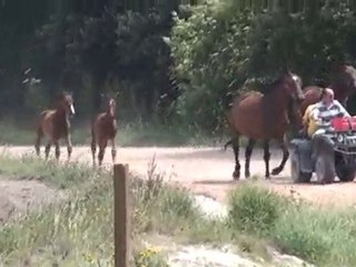 VOS FUTURS ACQUISITION DONT ALLOBROGE