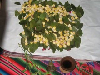 CULTURAL IMMERSION 9