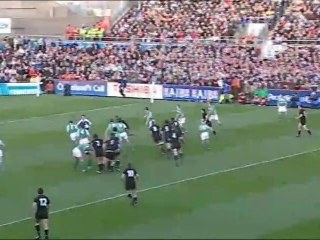 Ireland V All Blacks Riugby Preview