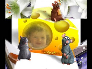 joyeux anniversaire Pauline