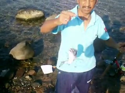 balikcilar.org Hasan BALIKÇI