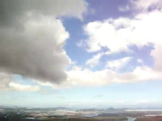 dingo na vila final do paulista 2009