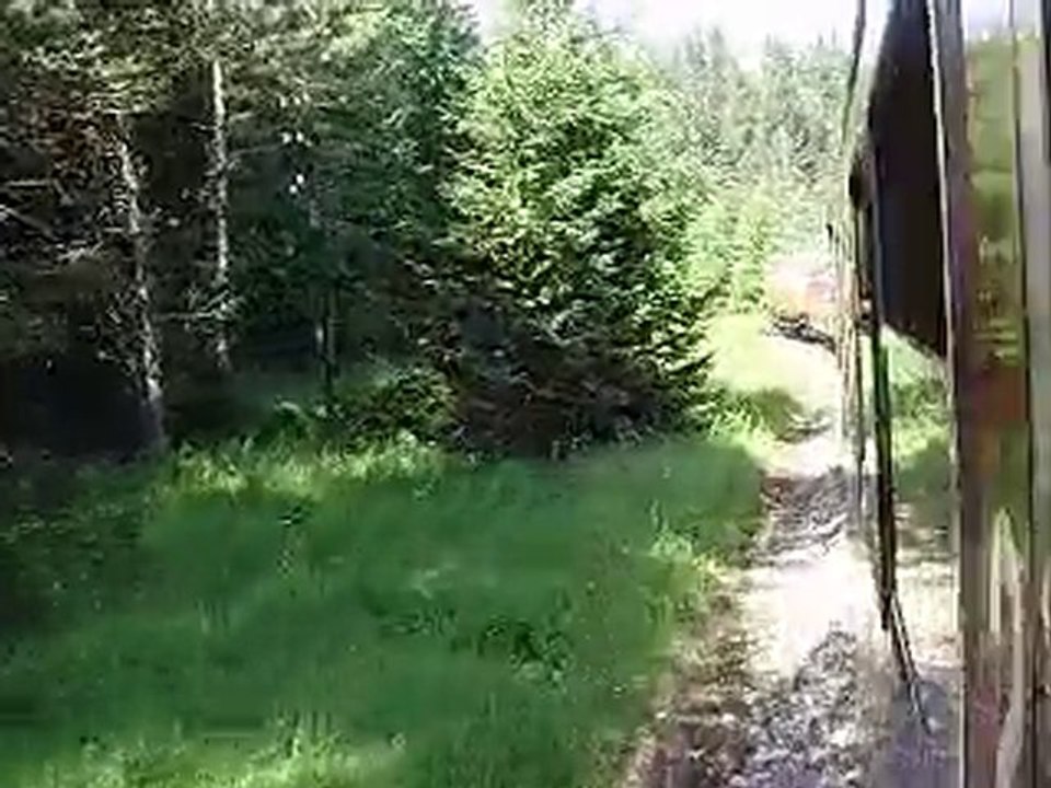 Fahrt mit der Mariazellerbahn (R 6812, 03.07.2010) Teil 1