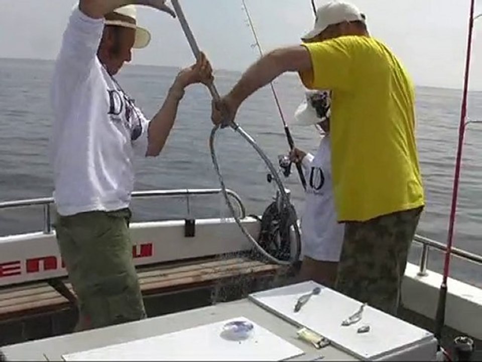 sortie pêche aux bars avec Arnaud De Wildenberg