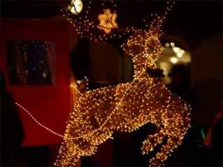 just life! all right!