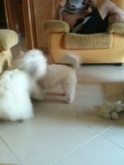 Scoubi et Enjoy sa pulse !