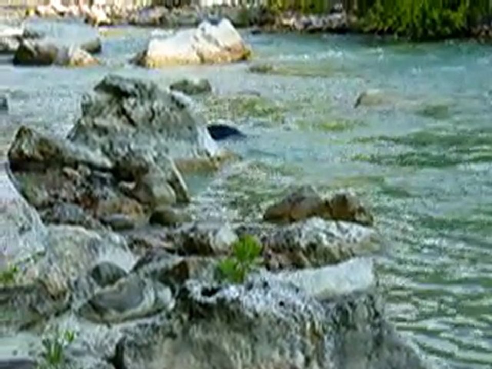 Hussard dans la rivière2