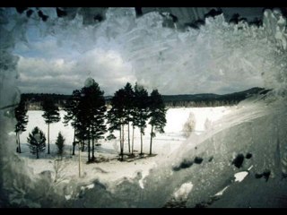 taner kaya ayrılırsak ölürüz biz