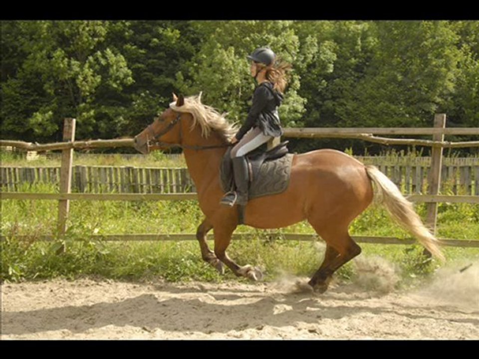 montage de mon 1er galop avec Tornade !