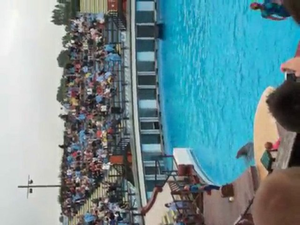 SPECTACLE DE DAUPHINS "REVERENCE" PARC ASTERIX 1