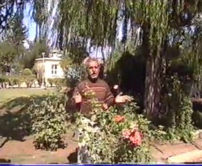 NEJDET TOKGÖZ (Garip)