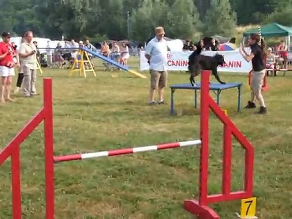 Guiness brevet agility 030710