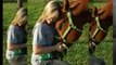 Horseback Riding Lessons in Katy TX