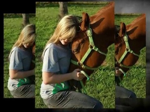 Horseback Riding Lessons in Katy TX