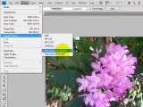 Photo Editing Basics Part 1 - Canvas Rotation
