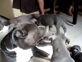 Diego et son fils fly