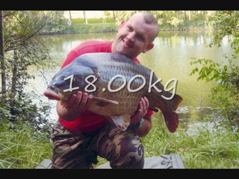 quelques fishs de ma passion