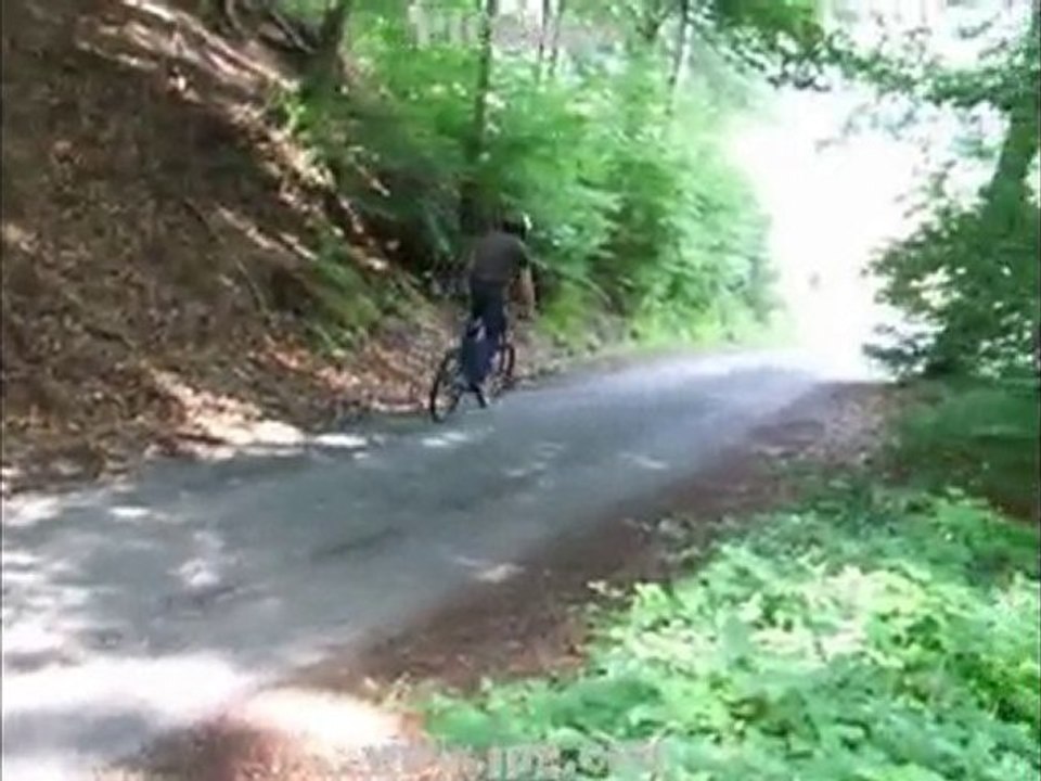 zaegel saison 2010