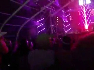 20100626192049 Awakenings Festival 2010