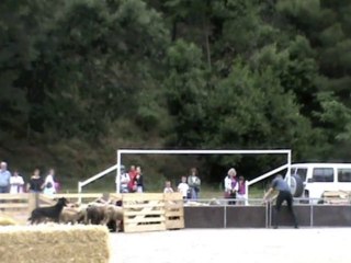 V'Lascar en concours à Céret