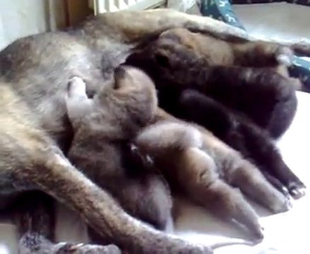 Tess et Emeraude bébés avec leur maman