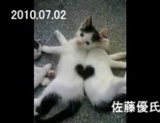 2010.07.02　佐藤優2