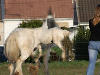 Séance photos avec Pascale