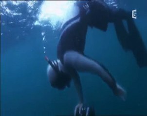 des requins et des hommes ep 4 (2)