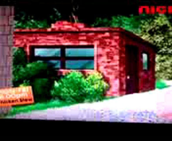 Oggy and the cockroaches Warning Boa on the run in Hindi