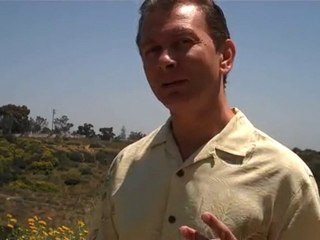 "Main St Marketing Business, Traffic Geyser Review,Firepowe