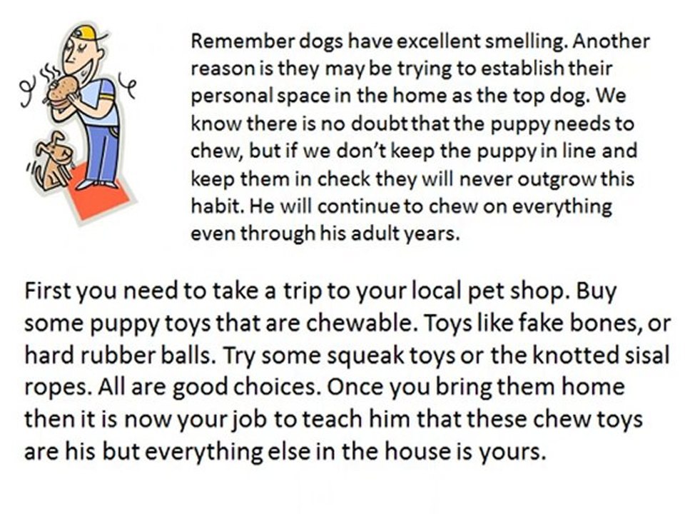 Studded Dog Collars Custom Dog Collars Leather Dog Collars