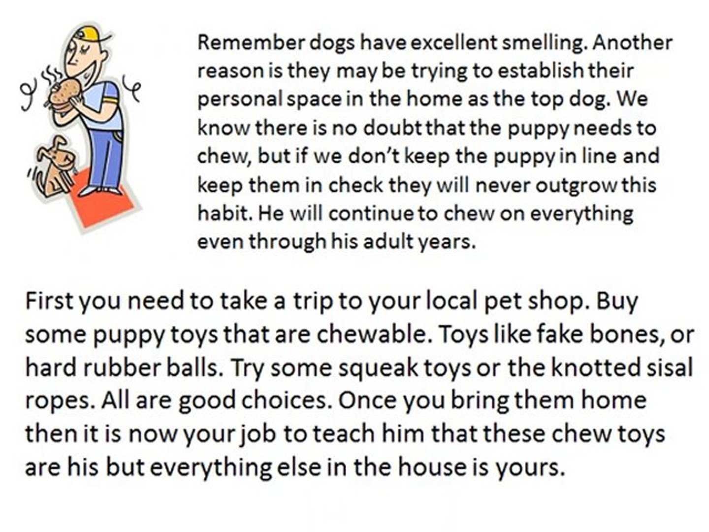 ⁣Studded Dog Collars Custom Dog Collars Leather Dog Collars