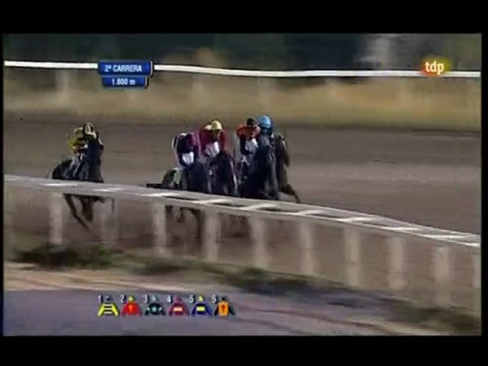 2010.07.03, n° 240 MJ (Cria Nacional (3+nac) Jordan Water