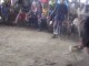 [Indonesie] Combat de coqs dans l'Est de Bali