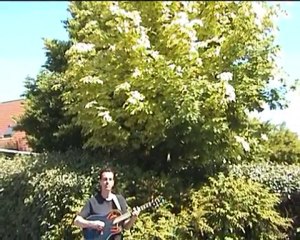 The basic formula of life Bruno Pinkhof