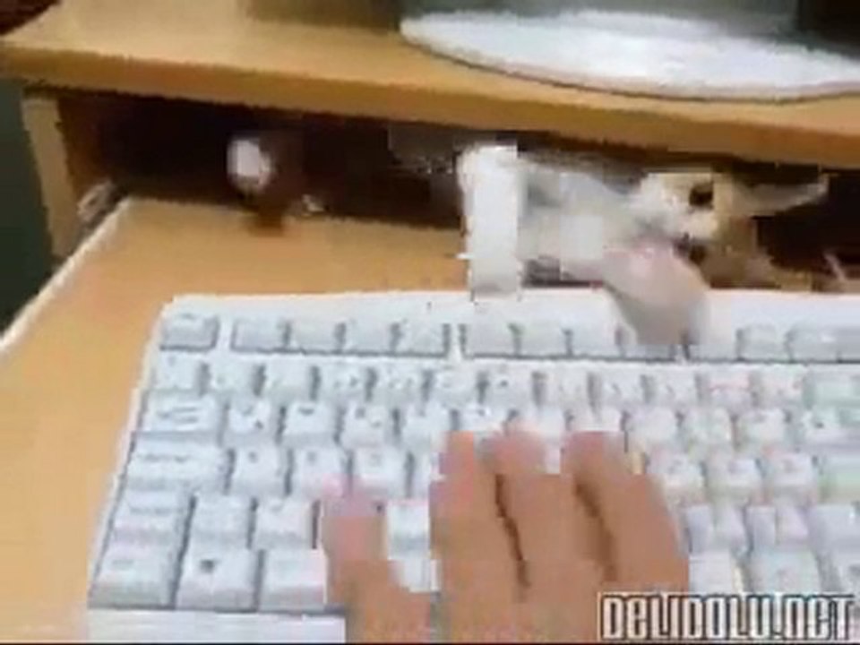 Bırak Ben Yazacağım...