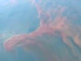 BP Oil Spill Aerial View by NOAA