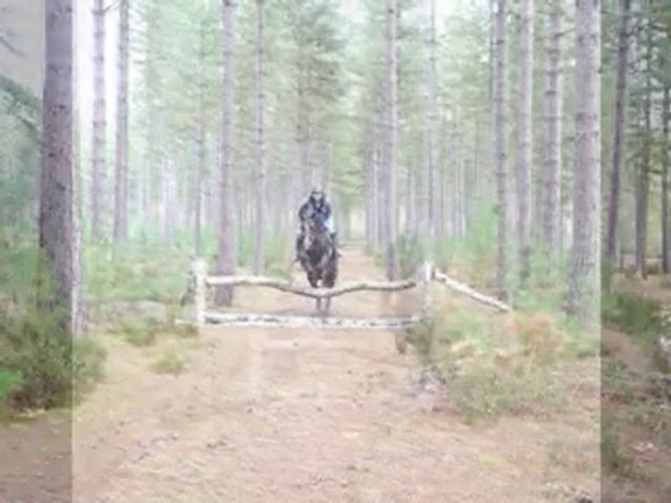 cross (entrainement) avec une 4 ans
