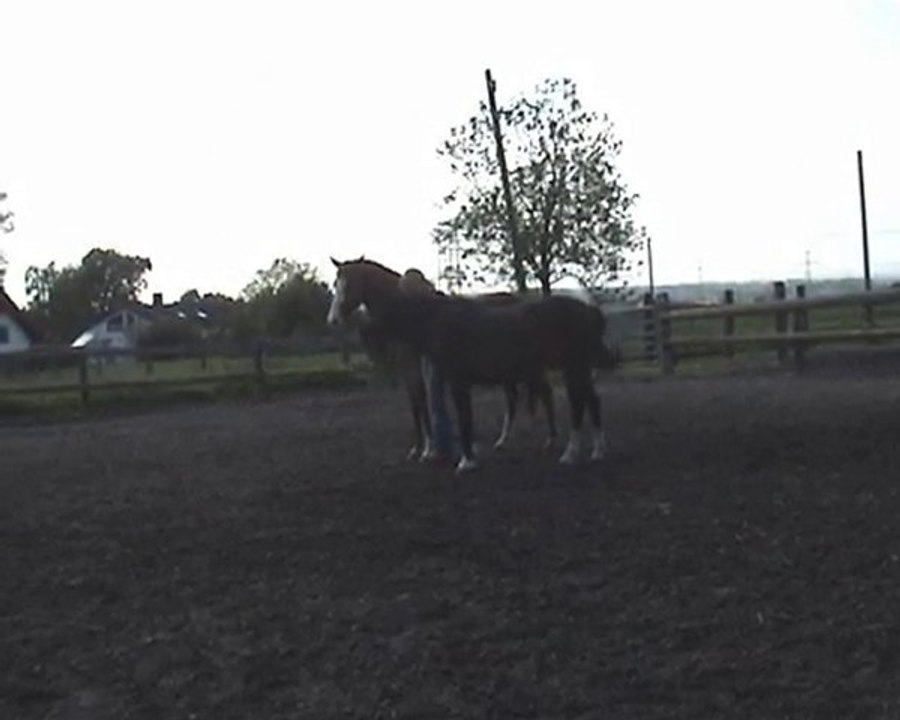 Trixie und Franky Liberty mai 2010 top