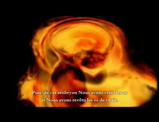 Signe : la création de l'homme - Les étapes de la vie