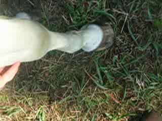 Petit tours de cirque kiss me