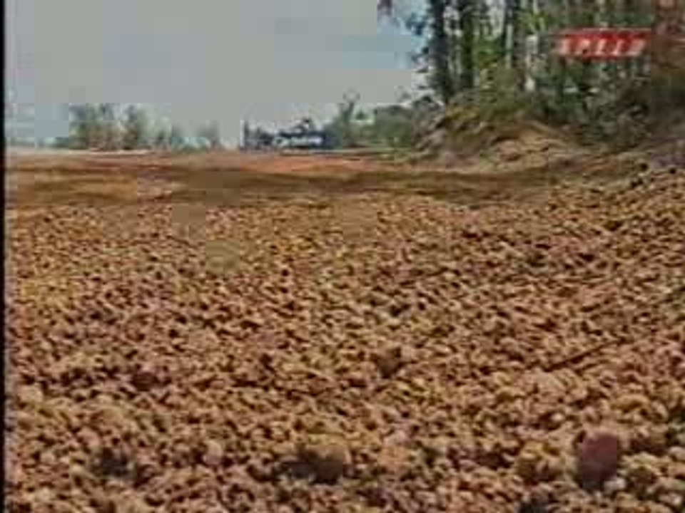Rallye WRC 2002