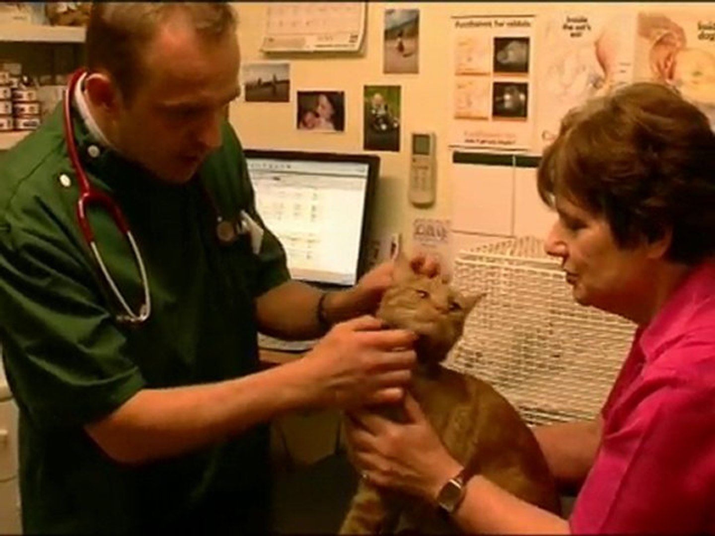 ⁣Banstead Village Veterinary Surgery - Vets in Sutton