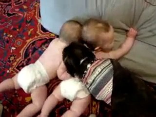 Eğlenceli Dakikalar :)